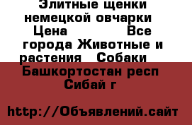 Элитные щенки немецкой овчарки › Цена ­ 30 000 - Все города Животные и растения » Собаки   . Башкортостан респ.,Сибай г.